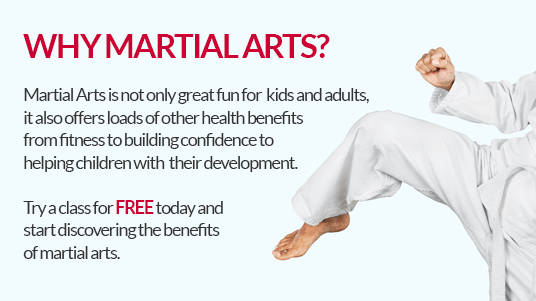Why Martial Arts?