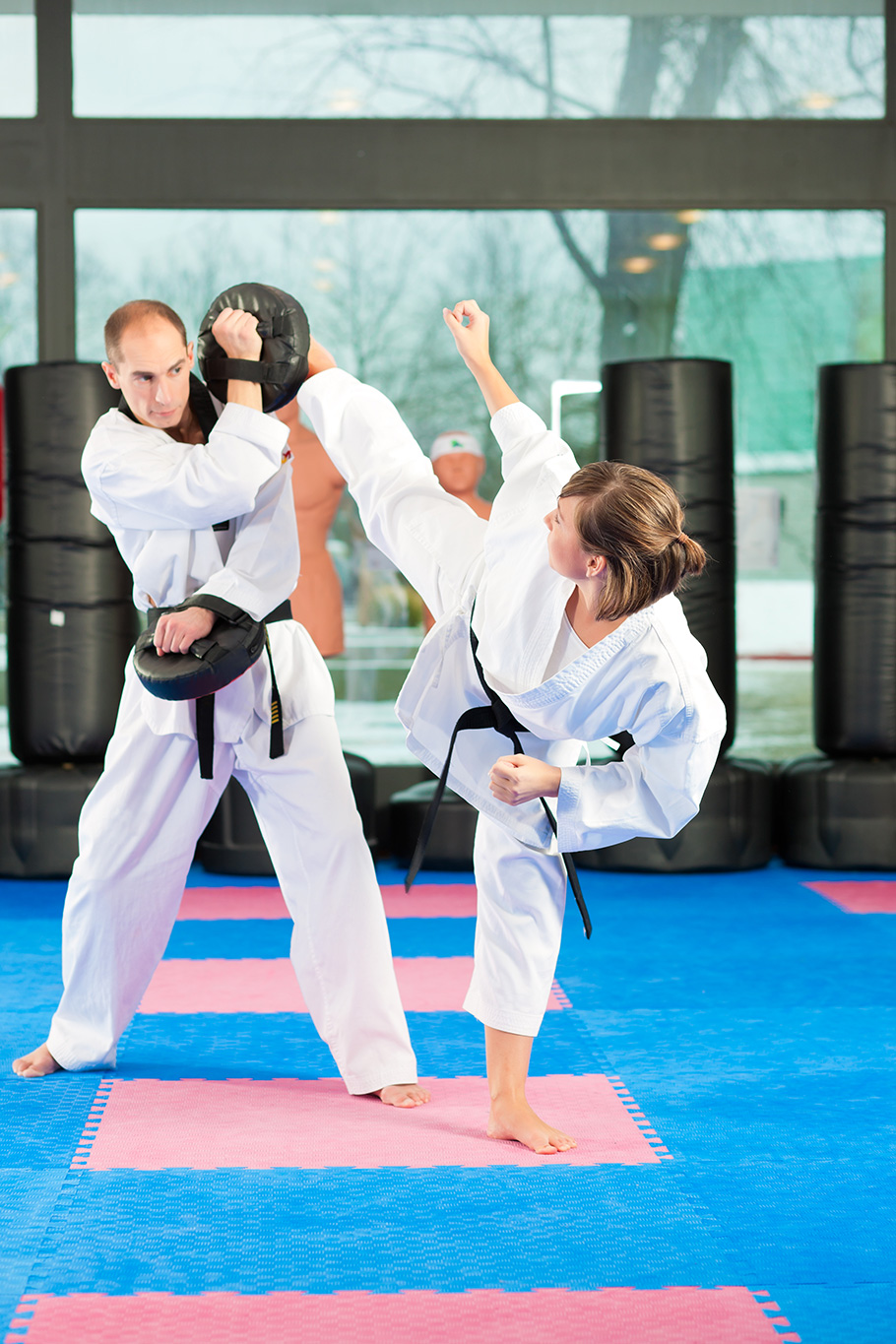 How Many Types Of Martial Arts Is There at Edith Jones blog